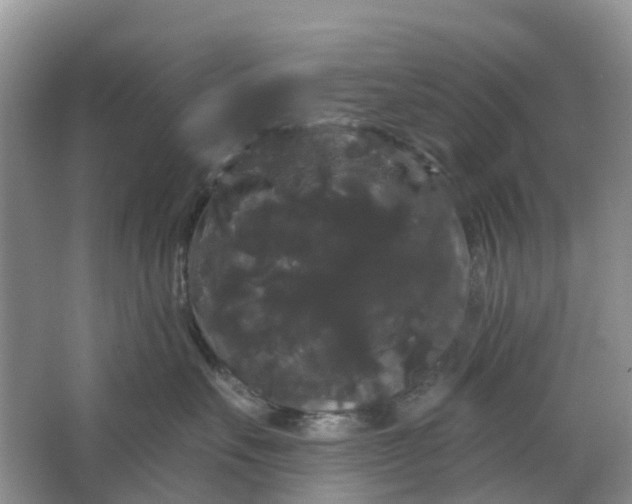 X0000066120527200603241613