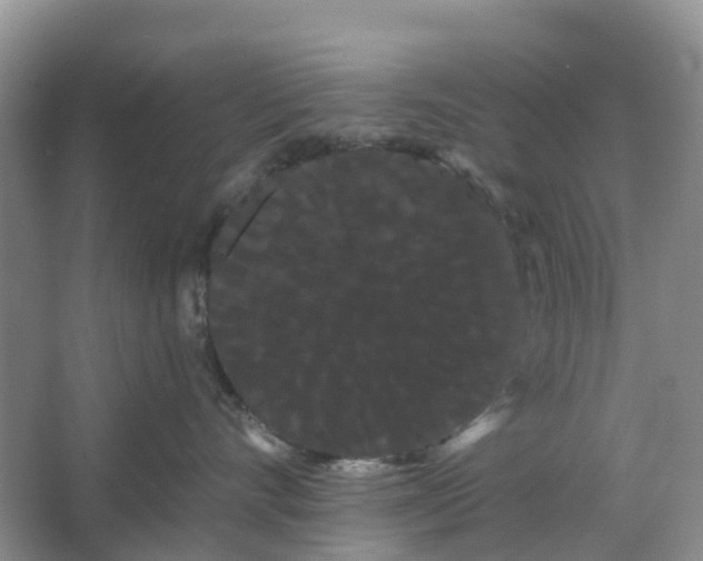 X0000066120528200603241613