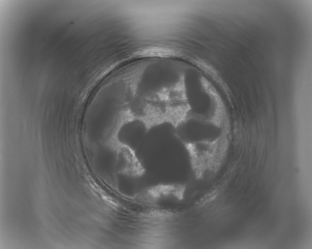 X0000066120529200603241612