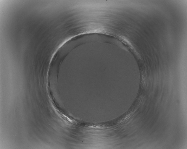 X0000066120532200603241612