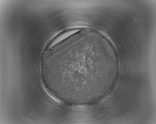 X0000066120533200603241612