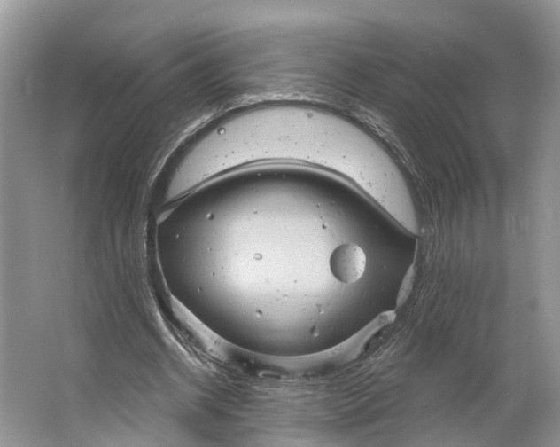 X0000066120534200603241612