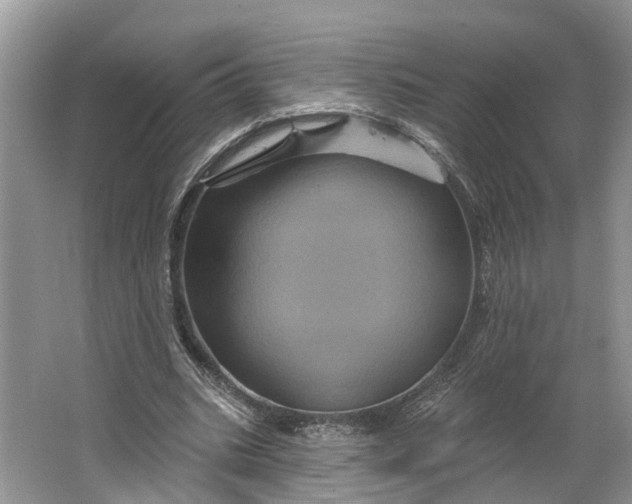 X0000066120535200603241612