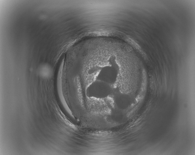 X0000066120537200603241612