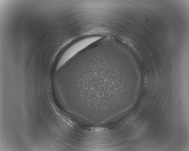 X0000066120539200603241613