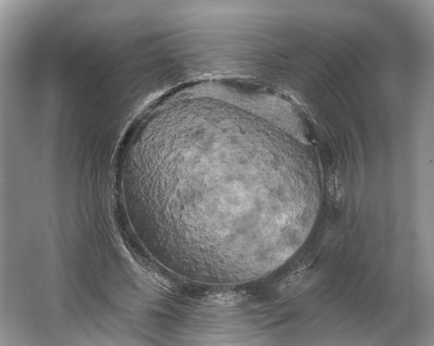 X0000066120540200603241613