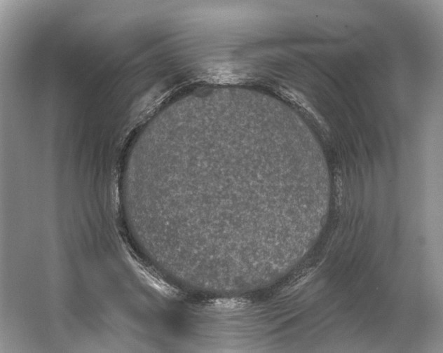 X0000066120541200603241613