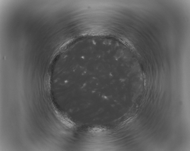 X0000066120542200603241613