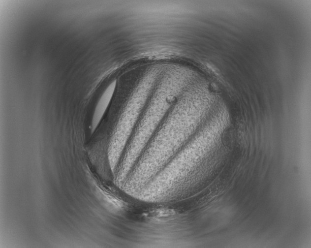 X0000066120543200603241613