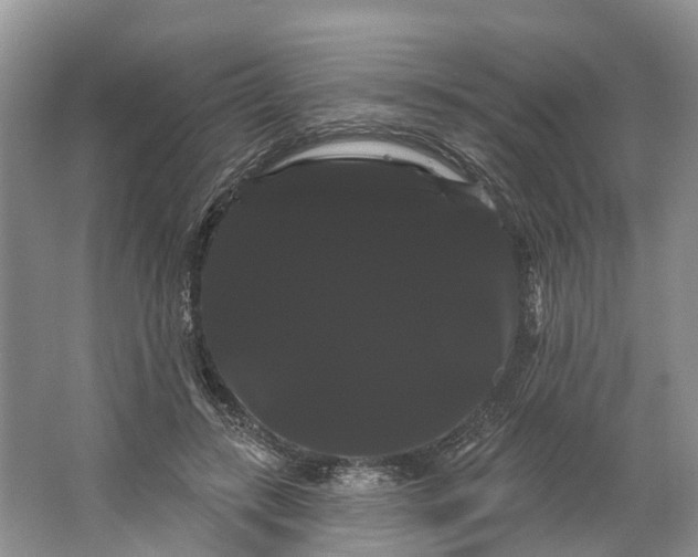 X0000066120547200603241613