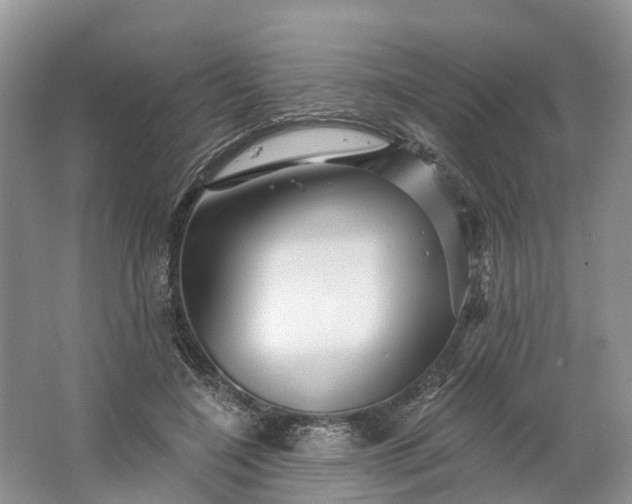 X0000066120548200603241613