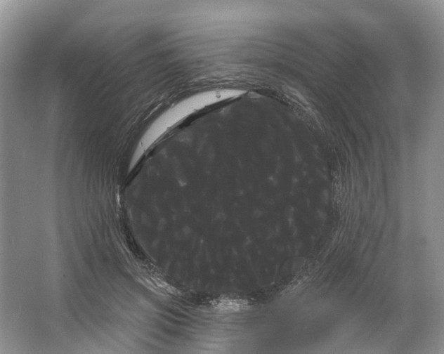 X0000066120549200603241613