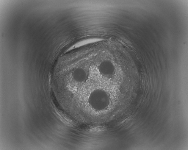 X0000066120550200603241613