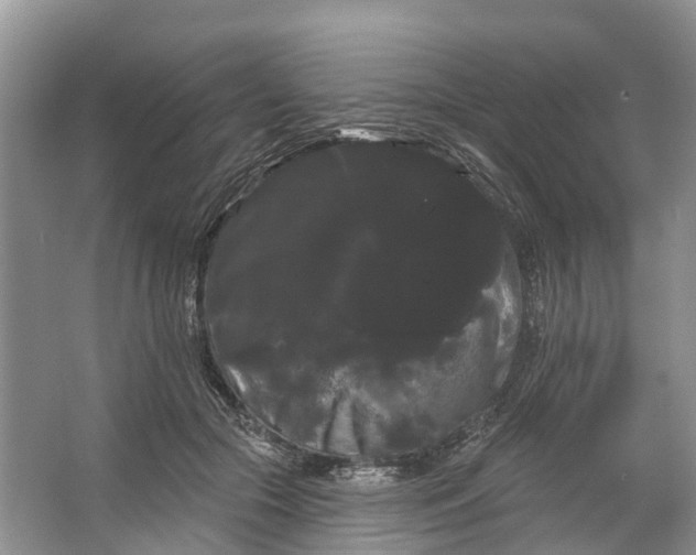 X0000066120553200603241613