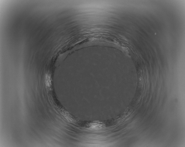 X0000066120555200603241613