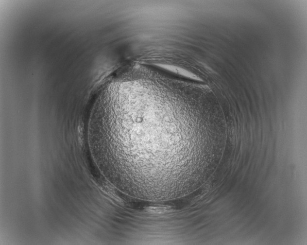 X0000066120556200603241613