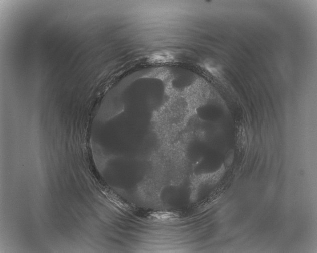 X0000066120557200603241613