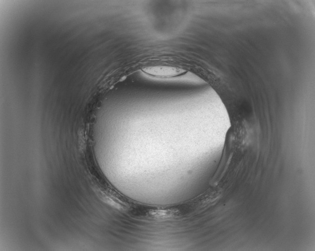 X0000066120558200603241613