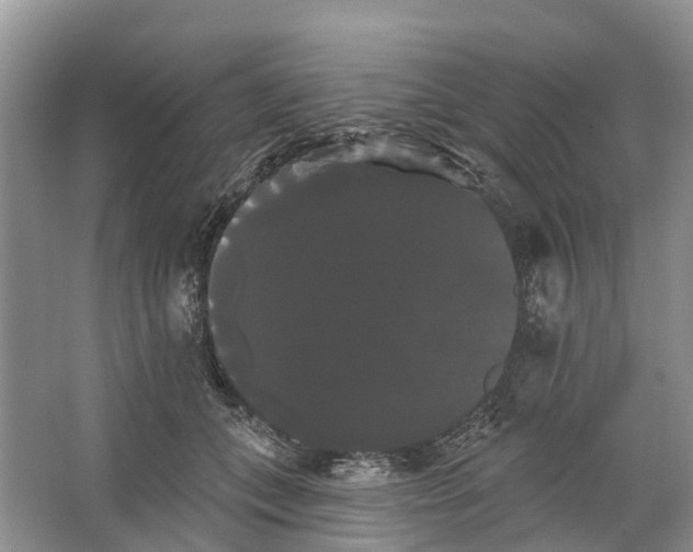 X0000066120559200603241613