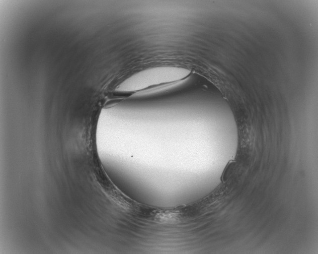 X0000066120560200603241613