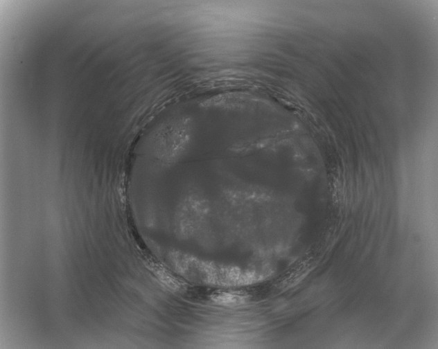 X0000066120561200603241613