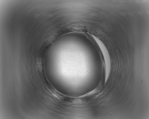 X0000066120562200603241613