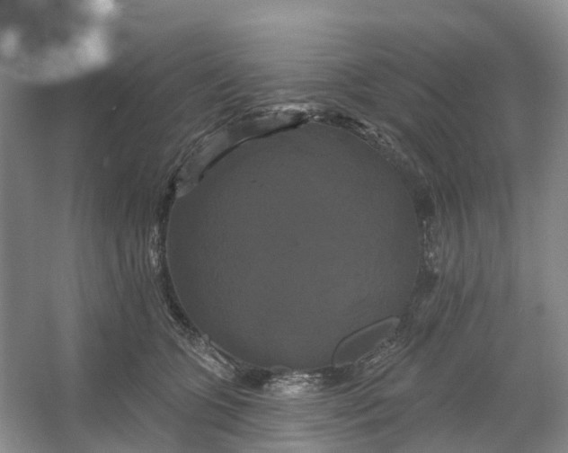 X0000066120563200603241613