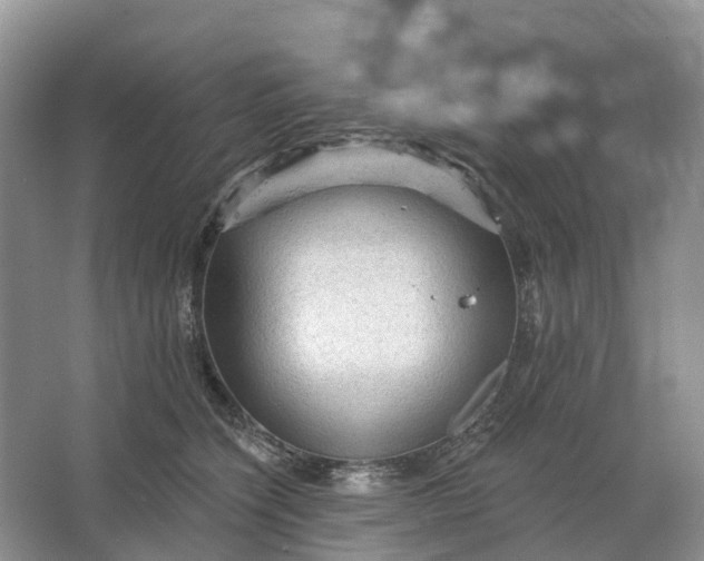 X0000066120564200603241613