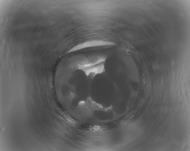 X0000066120565200603241613