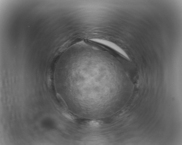 X0000066120566200603241613