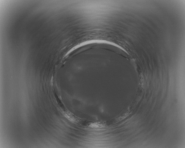 X0000066120568200603241613