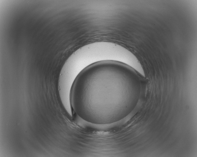 X0000066120570200603241613