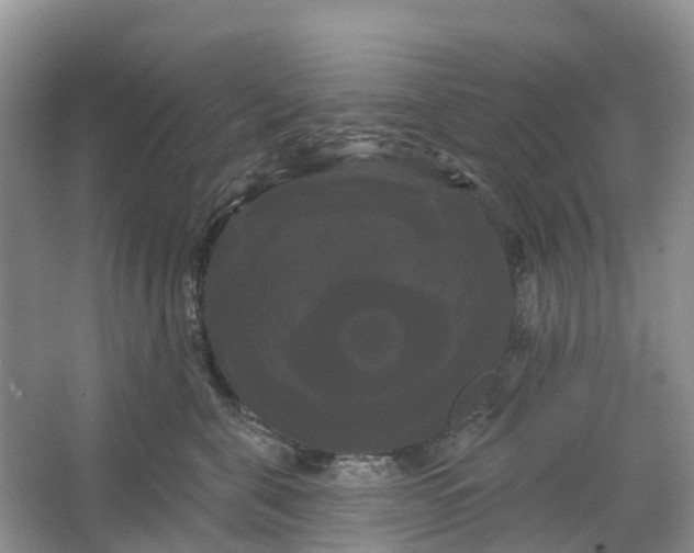 X0000066120571200603241613