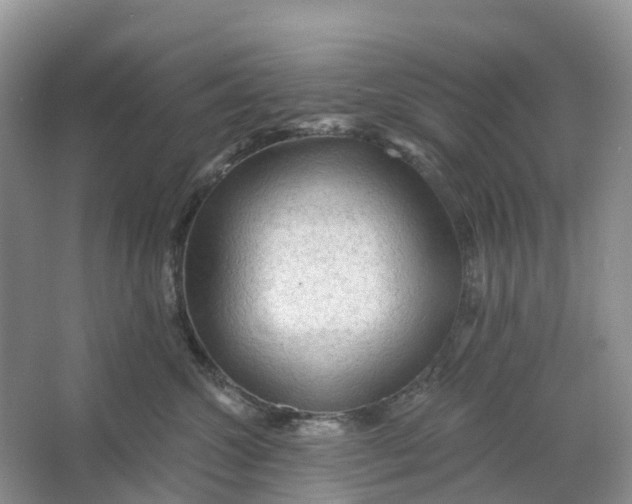 X0000066120572200603241613