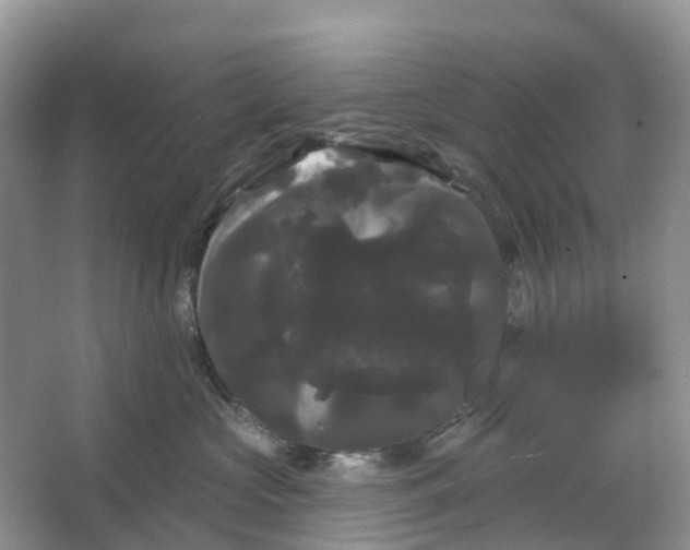 X0000066120573200603241613