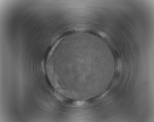 X0000066120575200603241613