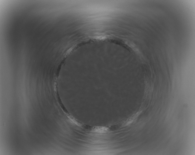 X0000066120576200603241613