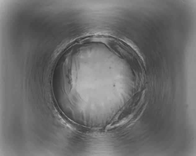 X0000066120577200603241612