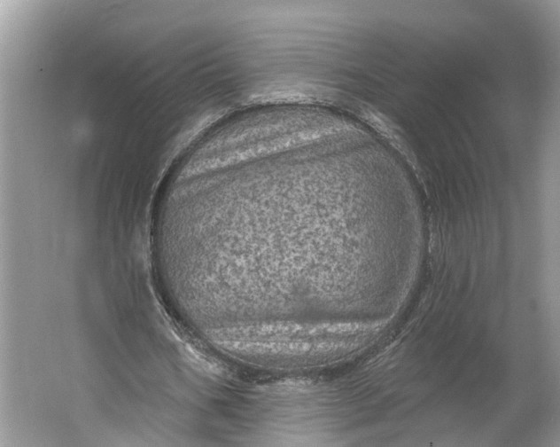 X0000066120578200603241612