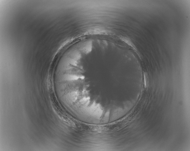 X0000066120579200603241612