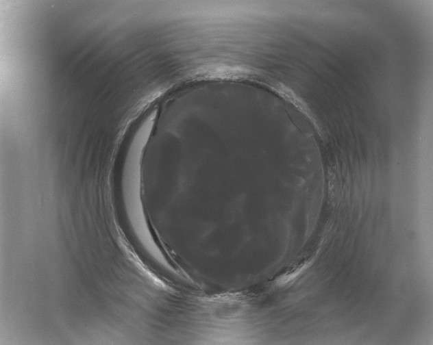 X0000066120581200603241612