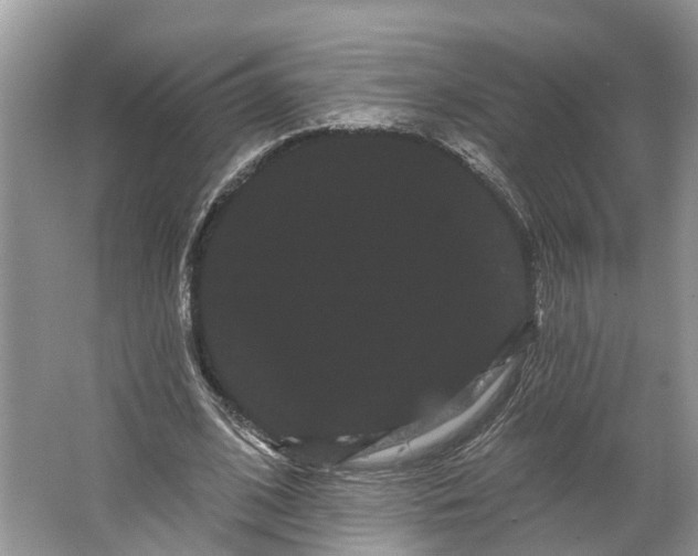 X0000066120584200603241612