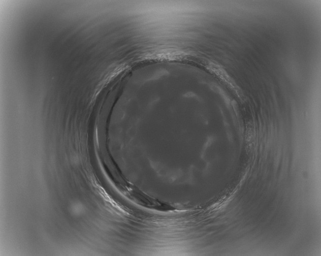 X0000066120585200603241612