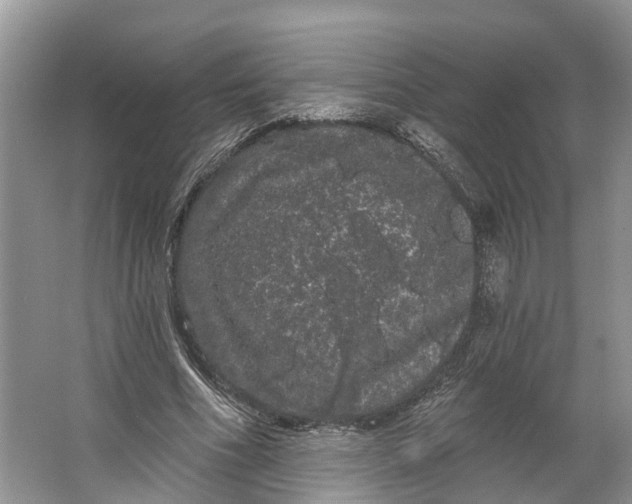 X0000066120586200603241612