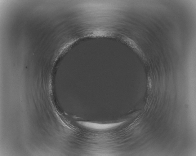 X0000066120588200603241612