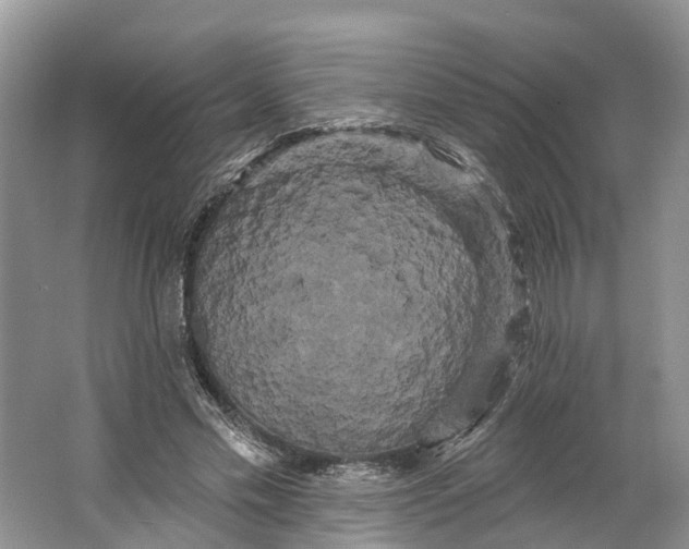 X0000066120589200603241612