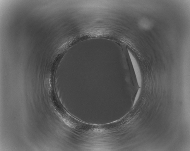 X0000066120590200603241612