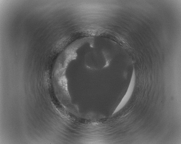 X0000066120594200603241612