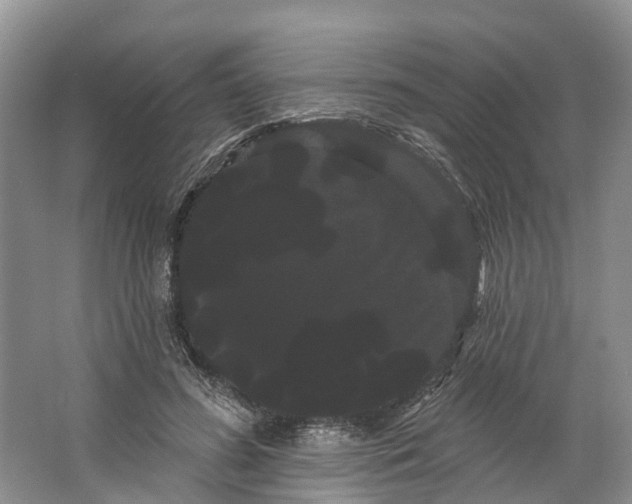 X0000066120596200603241612