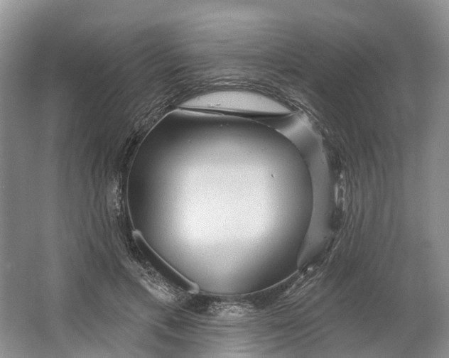 X0000066120597200603241612